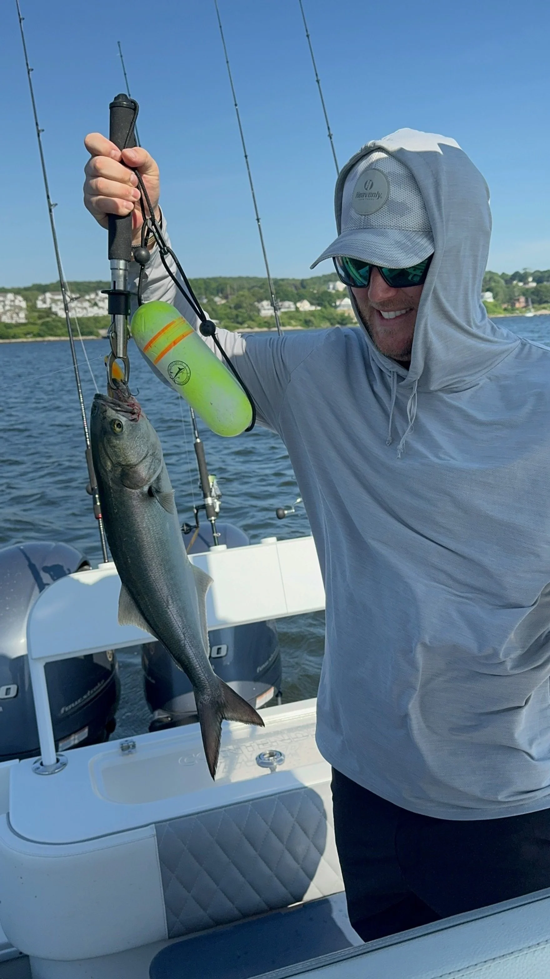 Bluefish caught on a charter day